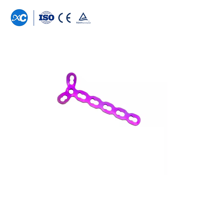 2.0 Ipuleti Lokukhiya Elimise Okuka-Y