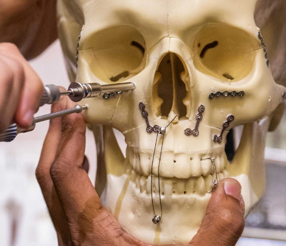 CROP_ 17397822423 93