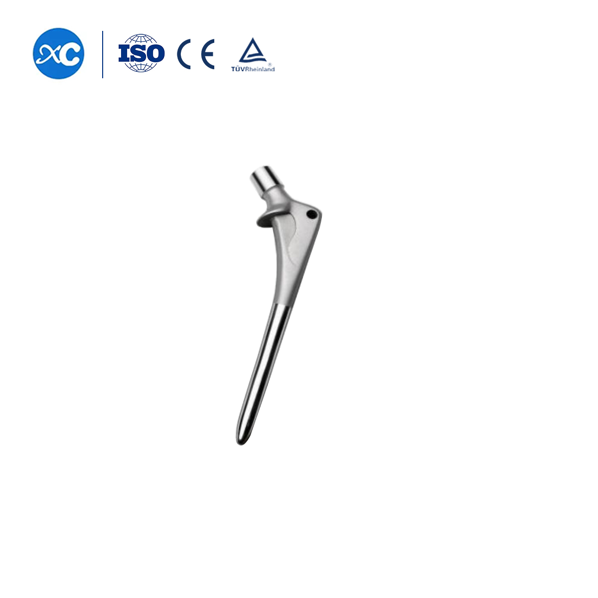 Cementless Revision Hip 
