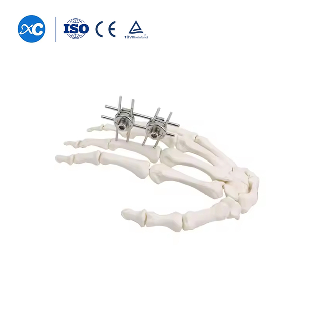 مثبت صغير (الإصبع والكف) من النوع C