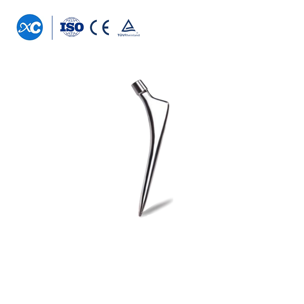 Cementless Revision Hip 