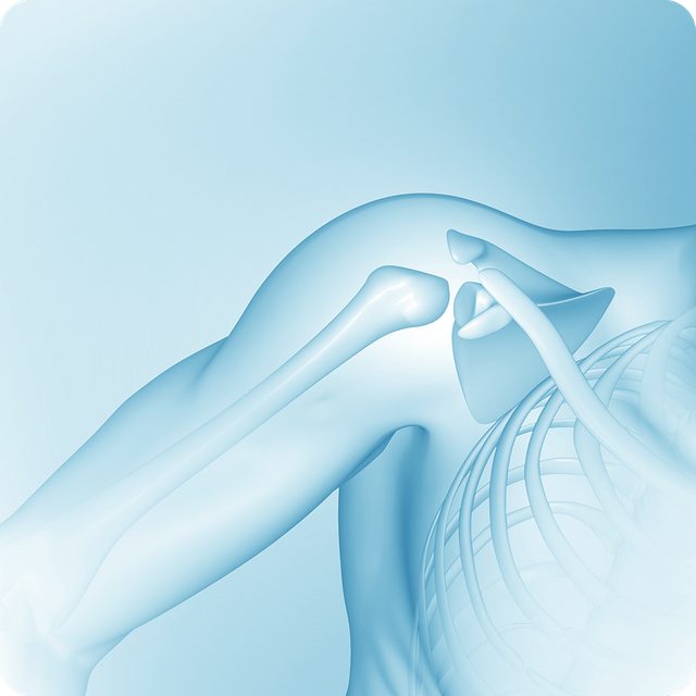 Shoulder J2bc0b61d25bd37=Shoulder Joint