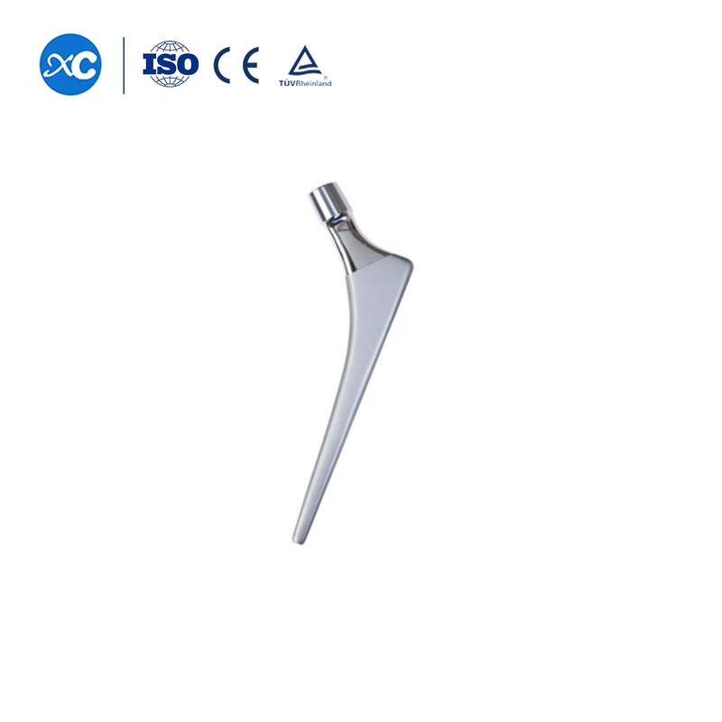 Cementless Revision Hip 