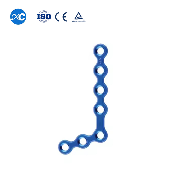 2.0 Qulfii Xiqqaa Fuulaa 110&deg;L-Plate