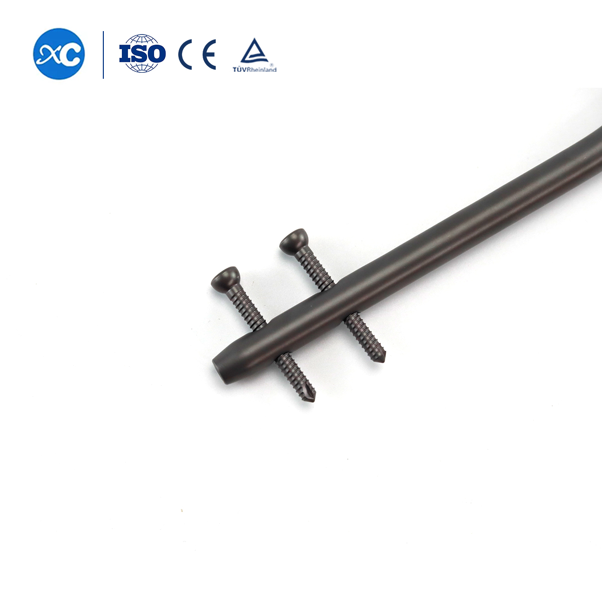 Titanium Gamma Nail | Proximal Femoral Fracture Fixation Implants